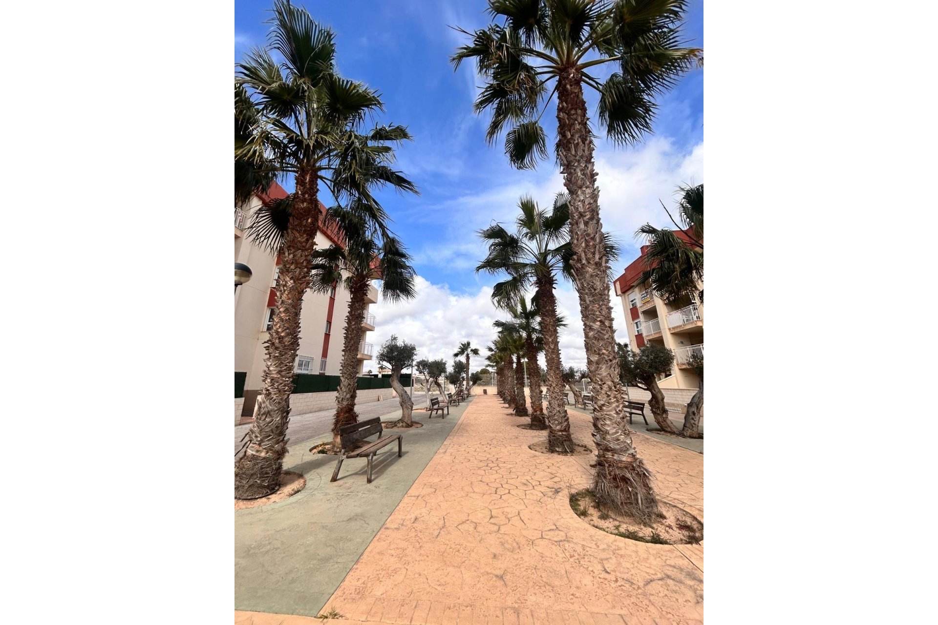 Nieuwbouw Woningen - Apartment - Orihuela Costa - Lomas de Cabo Roig