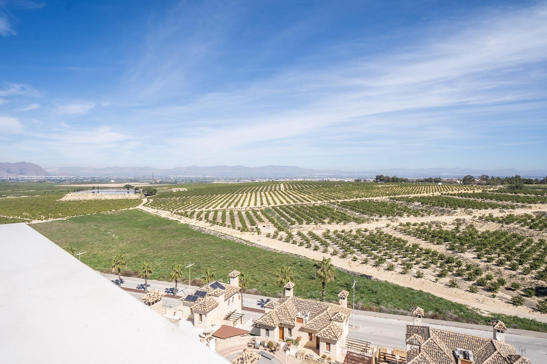 Nieuwbouw Woningen - Villa - Algorfa - La Finca Golf