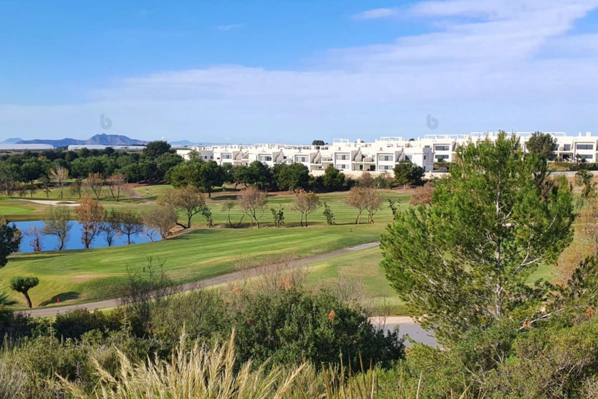 Nieuwbouw Woningen - Villa - Pilar de la Horadada - Lo Romero Golf