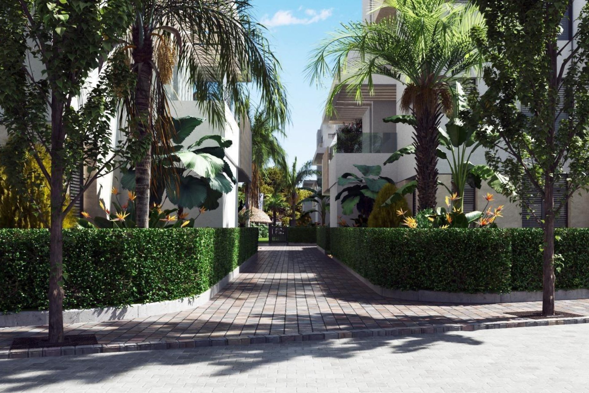 Nouvelle construction - Attique - Torre Pacheco - Santa Rosalia Lake and Life Resort