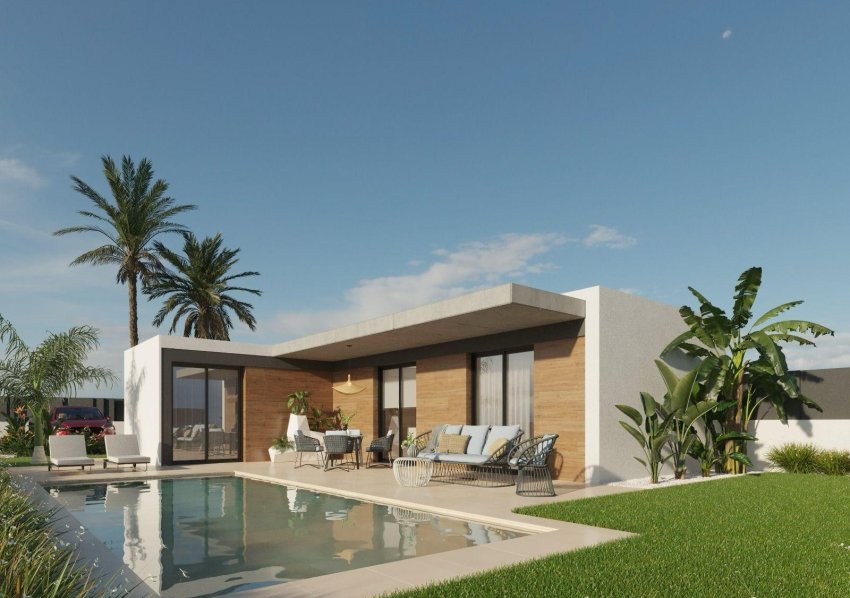Nouvelle construction - Villa - Molina De Segura - Urb. La Quinta