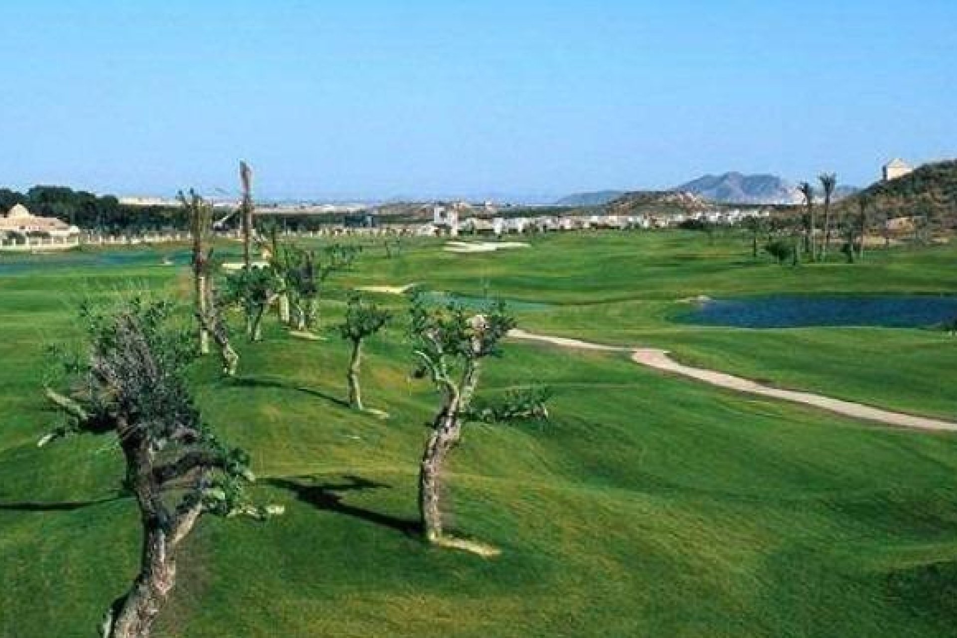Nouvelle construction - Villa - Sucina - Peraleja Golf
