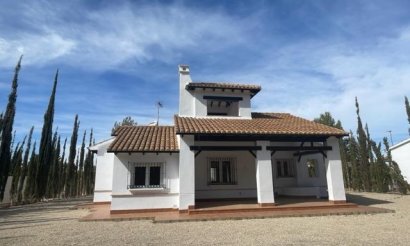 Villa - Nouvelle construction - Fuente Álamo - Las Palas