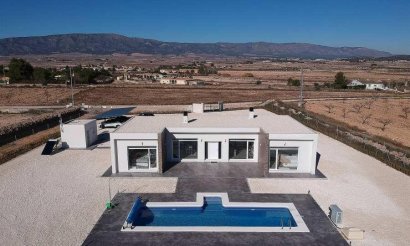 New Build - Villa - Pinoso - Camino Del Prado