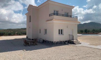 New Build - Villa - Pinoso - Camino Del Prado