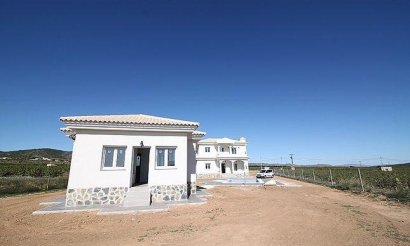 New Build - Villa - Pinoso - Camino Del Prado