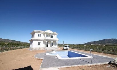 New Build - Villa - Pinoso - Camino Del Prado